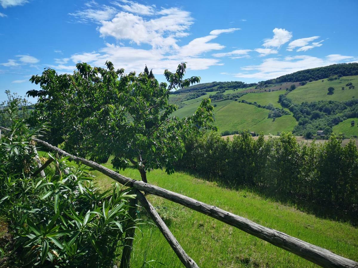 Affittacamere La Casa Sul Colle Moresco Esterno foto