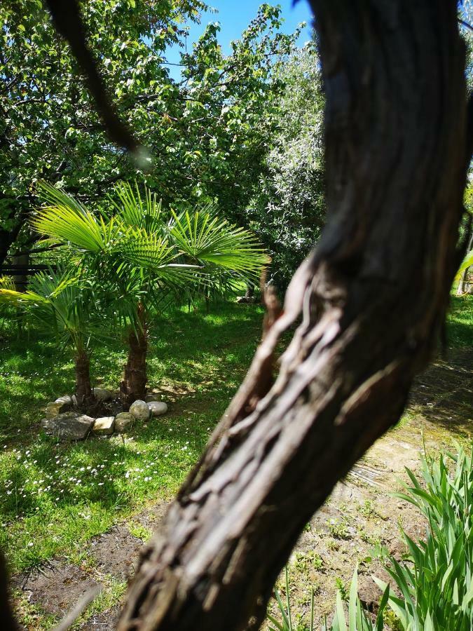 Affittacamere La Casa Sul Colle Moresco Esterno foto
