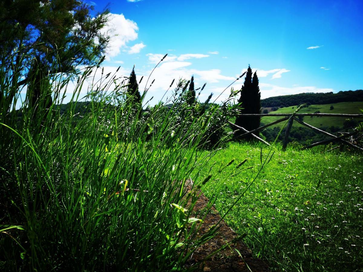 Affittacamere La Casa Sul Colle Moresco Esterno foto